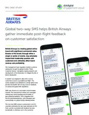 Preview of the British Airways Case Study