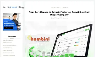 Preview of the Bumbini Case Study