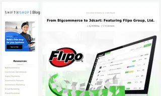 Preview of the Flipo Group Case Study