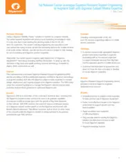 Preview of the Leading National Carrier Company Case Study