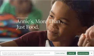 Preview of the Annie’s HomeGrown Case Study