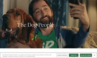 Preview of the Rover.com Case Study