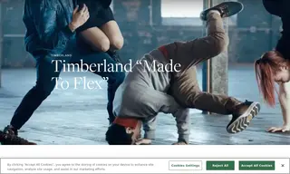 Preview of the Timberland Case Study