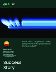 Preview of the PetroChina Company Ltd. Case Study