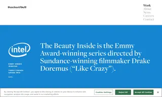 Preview of the Intel Case Study