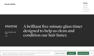 Preview of the Pantene Case Study