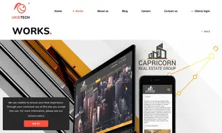 Preview of the Capricorn Real Estate Group Case Study