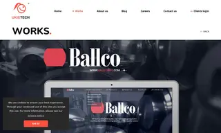 Preview of the Ballco Case Study