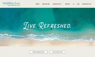 Preview of the Alessi Case Study