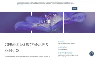 Preview of the Geranium Rozanne & Friends Case Study