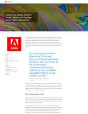 Preview of the Adobe Case Study