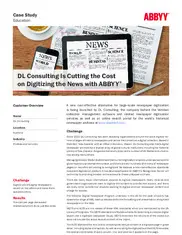 Preview of the DL Consulting Case Study