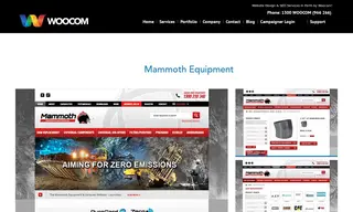 Preview of the Mammoth Equipment Case Study