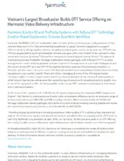 Preview of the Vietnam Television Case Study