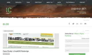 Preview of the LitvakSIG Case Study