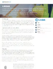 Preview of the Lindab Case Study