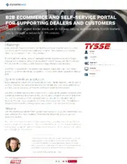 Preview of the Tysse Case Study