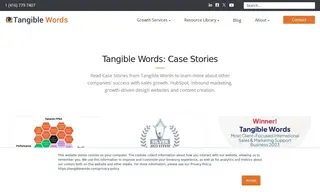 Preview of the Natalie Richter Global Case Study