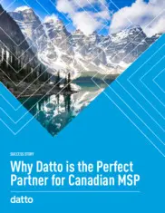 Preview of the CBM IT Case Study