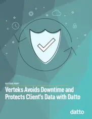 Preview of the Verteks Consulting Case Study