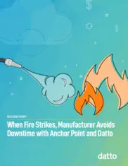 Preview of the Anchor Point IT Solutions Case Study