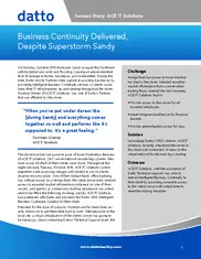 Preview of the ACE IT Solutions Case Study