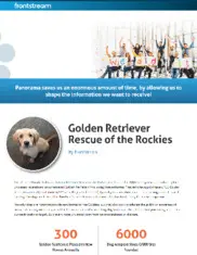 Preview of the Golden Retriever Rescue of the Rockies Case Study