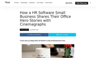 Preview of the Collage Case Study