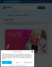 Preview of the Pink Lily Boutique Case Study