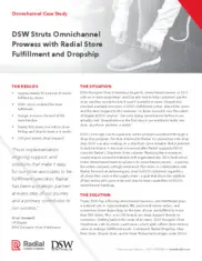 Preview of the DSW Case Study