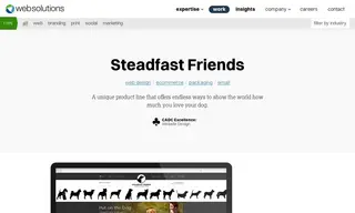 Preview of the Steadfast Friends Case Study