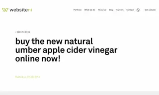 Preview of the Natural Umber Case Study