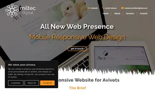 Preview of the Avivets Case Study