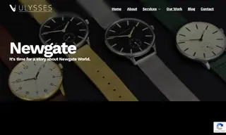 Preview of the Newgate Case Study