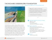 Preview of the Richard Diebenkorn Foundation Case Study