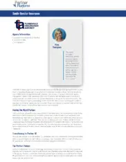 Preview of the Turbeville Insurance Agency Case Study