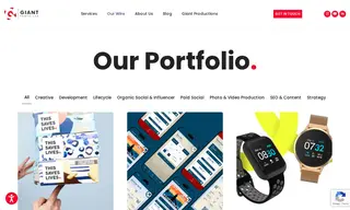 Preview of the Gemini Case Study