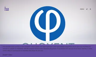 Preview of the Quoxent Case Study