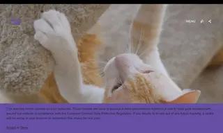 Preview of the PAWS Bangkok Case Study