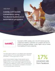 Preview of the icelolly.com Case Study