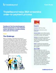 Preview of the B&H Photo Video Case Study