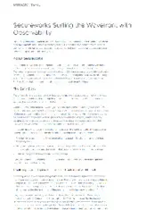 Preview of the SecureWorks Case Study