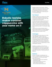 Preview of the MegaRobo Case Study