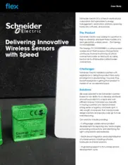 Preview of the Schneider Electric Case Study