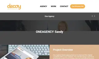 Preview of the One Agency Sandy Case Study