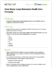 Preview of the Large Enterprise Health Care Company Case Study