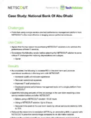 Preview of the National Bank of Abu Dhabi Case Study