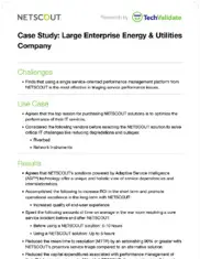 Preview of the Large Enterprise Energy & Utilities Company Case Study