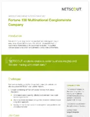 Preview of the Fortune 100 Multinational Conglomerate Company Case Study