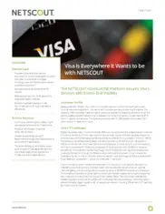 Preview of the Visa Case Study